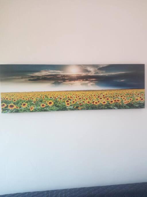 Il Girasole Apartman Cagliari Kültér fotó